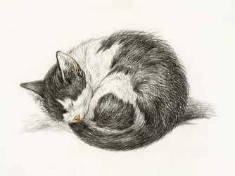 Összegömbölyödve fekvő, alvó macska (1825)