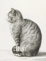 Ülő macska (1815)