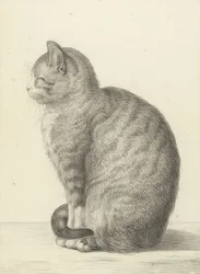 Ülő macska, balra. 1815