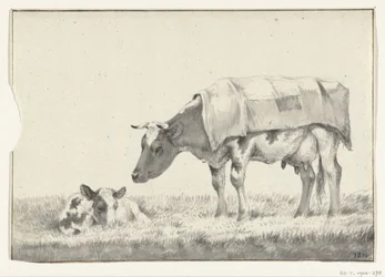 Álló tehén, balra, fekvő borjúval