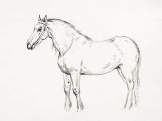 Álló ló (1818)