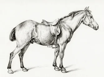 Álló ló, Jean Bernard (1775–1883) alkotása