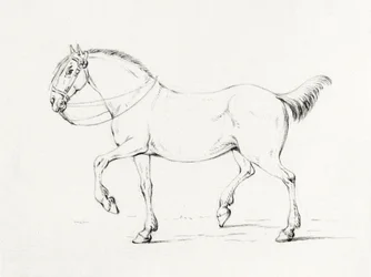 Lépő ló (1775–1833)
