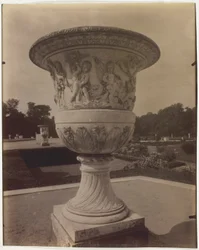 Versailles, Váza
