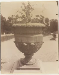 Versailles, Ballin váza