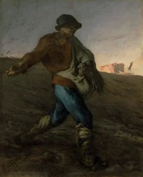 A vetés