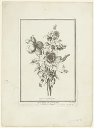 Csokor kökörcsin és rózsafű Anemones simples, Volubilis (cím a tárgyon) IIe Cahier de Bouquets (sorozat címe)