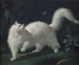 Pillangót kergető angóramacska, kb. 1760
