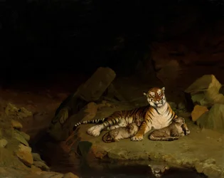 Tigris és kölykök, kb. 1884.