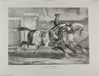 Horses Exercising, 6. lemez, különböző témákból, életből és kőből rajzolva (The English Suite)