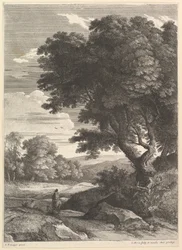 A Cavalier.