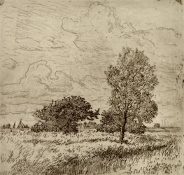 Nyári szél, 1904-06 (szárazpont)