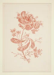 Cím nélkül (Ideal Flowers), hatos készletből
