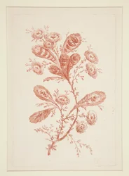 Cím nélkül (Ideal Flowers), hatos készletből