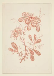Cím nélkül (Ideal Flowers), hatos készletből