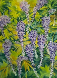 Wisteria virágok és lombok 1, 2023 (pasztell, papír)