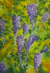 Wisteria virágok és lombok 2, 2023 (pasztell, papír)