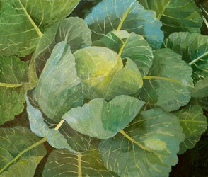 Káposzta (kék), 2014 (akril, vászon)