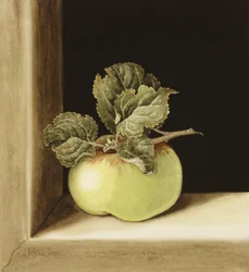 Apple (wc papíron)