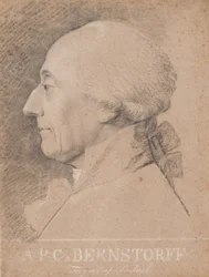 Az államférfi portréja, A.P. Bernstorff