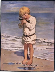 A Billy fiúk felfedezése egy sirály volt, sérült szárnyú (színes litho)