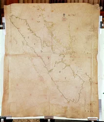 Ms 1288 szumátrai térkép, 1653 (toll, tinta és mosás papíron)