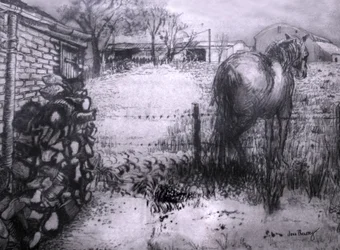 Ló pihenteti a lábát, 2000, (tinta nedves ingres papíron)