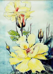 Yellow Rose in a Suffolk Breeze, 2005, (vízfesték)