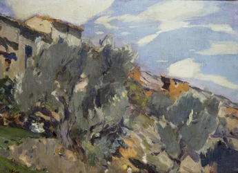 Falu, narancsliget
