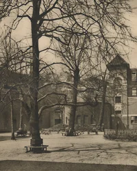 Under the Elms in the Courtyard of Middlesex Hospital, 1935.