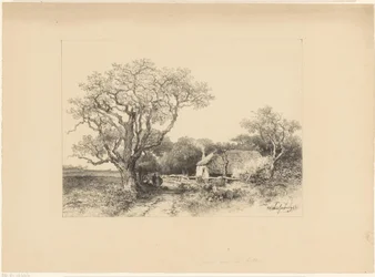 Táj farm