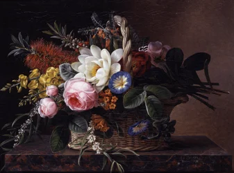 Csendélet kallistemonokból, liliomból, seprűből, rózsából és convulvusból. Johan Laurentz Jensen (1800-1856) festménye Magángyűjtemény.