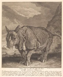 Orrszarvú