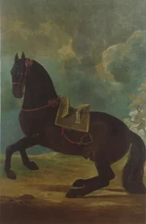 A Bay Stallion spanyol nyereggel