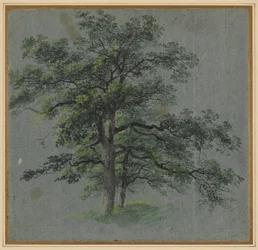 Két fa, 1800-as évek első fele.