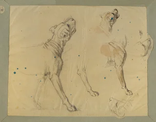 Kutyatanulmány a Landwehr ember hazatéréséhez (1820)