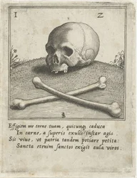 Vanitas Ábrázolás koponyával és két csonttal