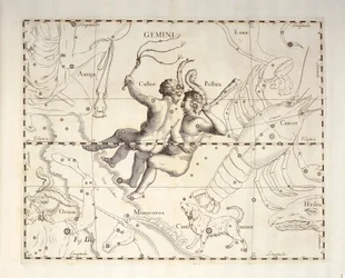 Ikrek-csillagkép, metszet a Firmamentum Sobiescianum sive Uronographia égi atlaszból, Johann Hevelius (1611-1687), Gdansk