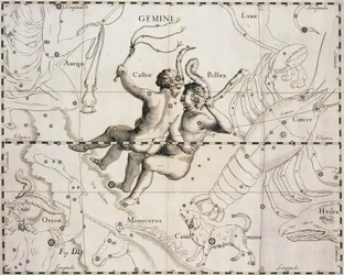 Az Ikrek csillagkép, Illusztráció a Firmamentum Sobiescianum sive Uranographia-ból, Johann Hevelius (1611-1687), Gdansk 1690