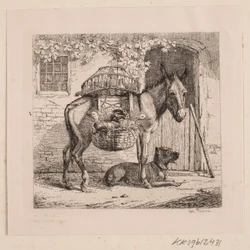 A csirkeárus szamara