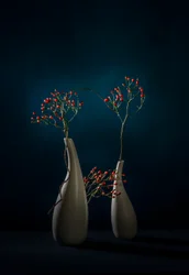 „Red Berries” modern vázák