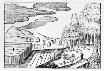 A Föld gyümölcsei, 1658