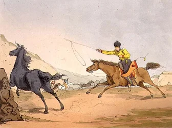 Tatárok lovakat fognak, 69. tábla az "Az oroszok szokásai, szokásai és szórakozásai" III. kötetéből, a művész metszete, kiad. 1803 (akvatinta)