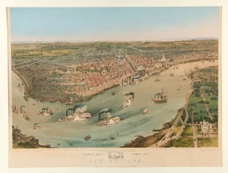 Madár