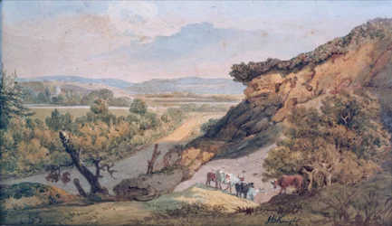 gyűrűfa (akvarell papíron)