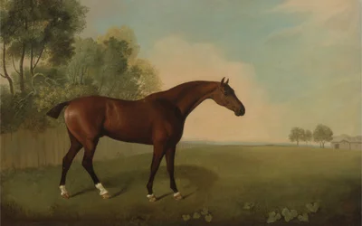 Egy pej ló a mezőn, 1778