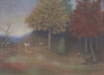 A Stevens Park W. Dallas közelében