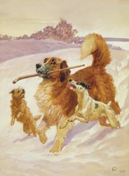 Három kutya játszik a hóban, 1881
