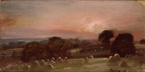 Egy Hayfield East Bergholt közelében naplementekor