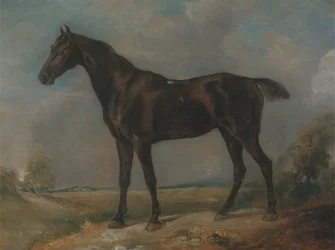 Golding Constable fekete lovaglova